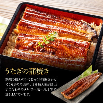 高知県産　うなぎ蒲焼き・藁焼き(白焼き)　各3尾セット【SKS038】