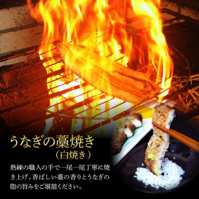 高知県産　うなぎ蒲焼き・藁焼き(白焼き)　各2尾セット【SKS039】