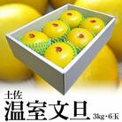 温室文旦3kg・6玉入【SKS010】