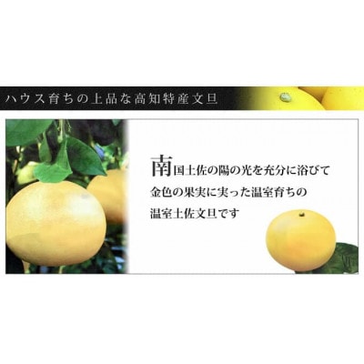温室文旦3kg・6玉入【SKS010】