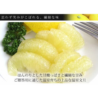 温室文旦3kg・6玉入【SKS010】