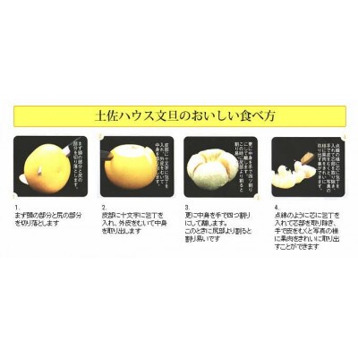 温室文旦3kg・6玉入【SKS010】