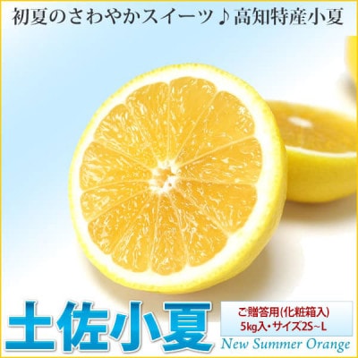 《ご贈答用》土佐小夏　5kg・サイズ2S～L【SKS014】