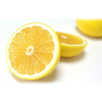 《ご贈答用》土佐小夏　5kg・サイズ2S～L【SKS014】