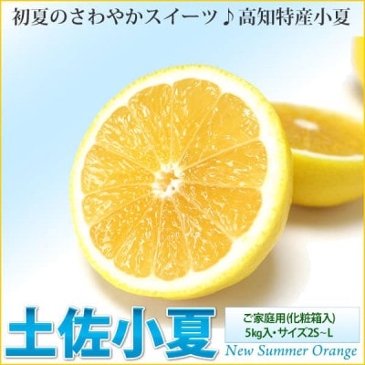 《ご家庭用》土佐小夏　5kg・サイズ2S～L【SKS015】