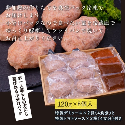 土佐和牛あかうしハンバーグ120g×8ケ+デミソース2袋、トマトソース2袋【CDM001】