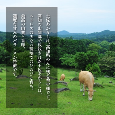 創業50年老舗レストランの和牛あかうしハンバーグ130g×10ケ(ソース無し)【CDM002】