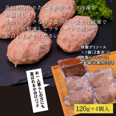 土佐和牛あかうしハンバーグ120g×4ケ+デミソース1袋、トマトソース1袋【CDM005】