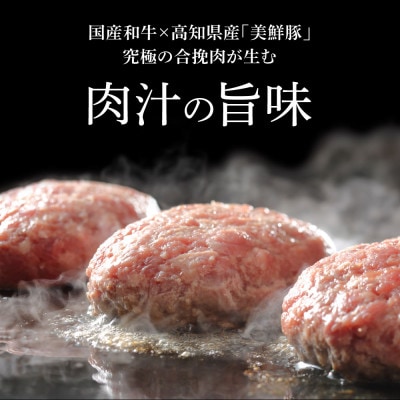 生姜好きにオススメ!老舗レストラン国産牛と美鮮豚ハンバーグ130g×2個+黄金しょうがソース×1袋