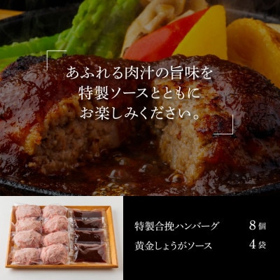 生姜好きにオススメ!国産牛と美鮮豚ハンバーグ130g×8個+黄金しょうがソース×4袋【CDM010】