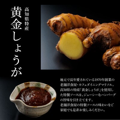生姜好きにオススメ国産牛と美鮮豚ハンバーグ130g×16個+黄金しょうがソース×8袋【CDM011】