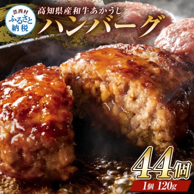 創業50年老舗レストランの幻の土佐あかうしハンバーグ120g×44ケ(ソース無し)【CDM018】