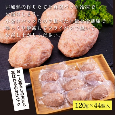 創業50年老舗レストランの幻の土佐あかうしハンバーグ120g×44ケ(ソース無し)【CDM018】