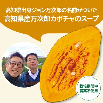 高知県産万次郎カボチャのポタージュ3食【CDM021】