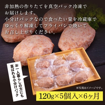 【毎月定期便】和牛あかうしハンバーグ120g×5ケ(ソース無し)【t212cdm】全6回