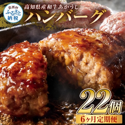 【毎月定期便】和牛あかうしハンバーグ120g×22ケ(ソース無し)【t216cdm】全6回