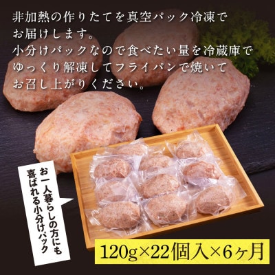 【毎月定期便】和牛あかうしハンバーグ120g×22ケ(ソース無し)【t216cdm】全6回