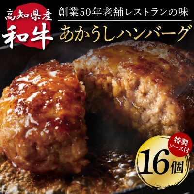 【毎月定期便】土佐和牛あかうしハンバーグ130g×16ケ+ソース【t210cdm】全6回