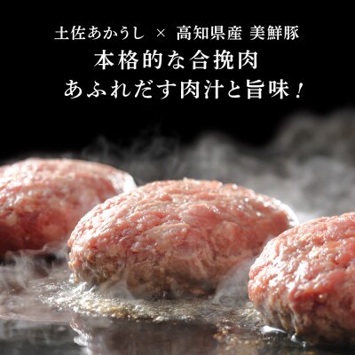 【毎月定期便】土佐和牛あかうしハンバーグ130g×16ケ+ソース【t210cdm】全6回