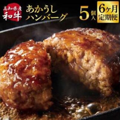 【毎月定期便】和牛あかうしハンバーグ120g×5ケ(ソース無し)【t212cdm】全6回