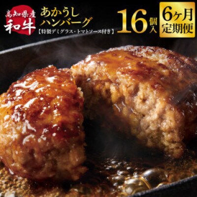 【毎月定期便】土佐和牛あかうしハンバーグ120g×16ケ+ソース【t210cdm】全6回