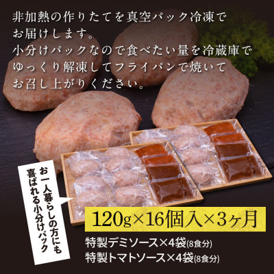 【毎月定期便】土佐和牛あかうしハンバーグ120g×16ケ+ソース【t209cdm】全3回