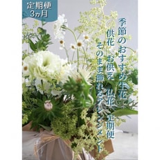 【毎月定期便】芸西村産季節の生花アレンジ アレンジメント 供花・仏花M全3回