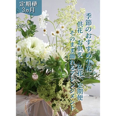 【毎月定期便】芸西村産季節の生花アレンジメント　供花仏花M【t172tmf】全3回