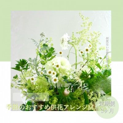 【毎月定期便】芸西村産季節の生花アレンジメント　供花仏花M【t172tmf】全3回