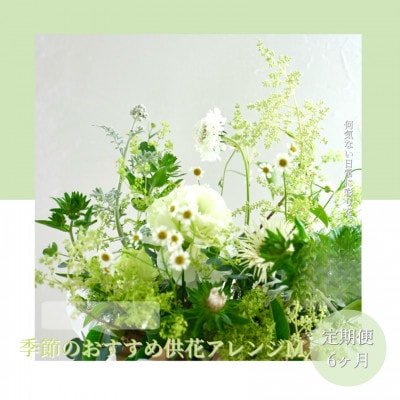 【毎月定期便】芸西村産季節の生花アレンジメント　供花仏花M【t173tmf】全6回