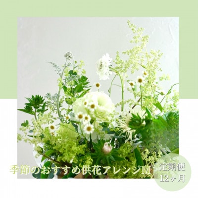 【毎月定期便】芸西村産季節の生花アレンジメント　供花仏花M【t174tmf】全12回