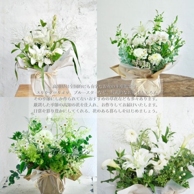 【毎月定期便】芸西村産季節の生花アレンジメント　供花仏花M【t174tmf】全12回