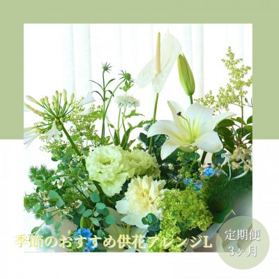 【毎月定期便】芸西村産季節の生花アレンジメント　供花仏花L【t175tmf】全3回