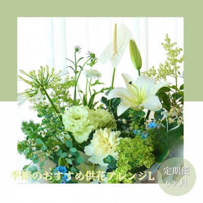 【毎月定期便】芸西村産季節の生花アレンジメント　供花仏花L【t176tmf】全6回