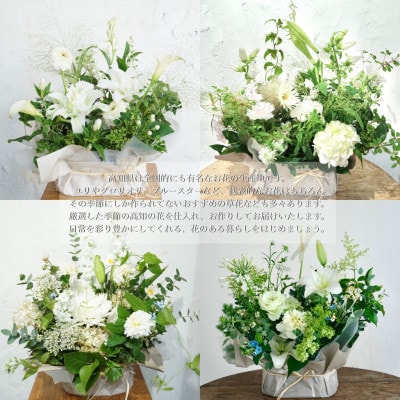【毎月定期便】芸西村産季節の生花アレンジメント　供花仏花L【t176tmf】全6回