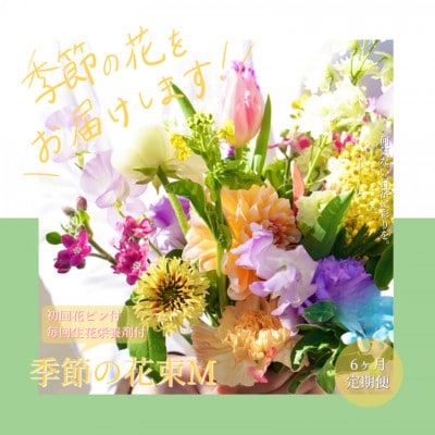 【毎月定期便】芸西村産季節の生花花束　ブーケM　初回花瓶付　毎回延命剤付【t155tmf】　全6回