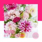 【毎月定期便】芸西村産季節のおすすめ生花花束　初回花瓶付　毎回延命剤付【t157tmf】　全3回