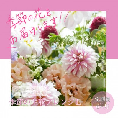 【毎月定期便】芸西村産季節のおすすめ生花花束　初回花瓶付　毎回延命剤付【t158tmf】　全6回