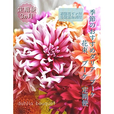 【毎月定期便】芸西村産生花ダリア花束　ブーケ　初回花瓶付　毎回延命剤付【t181tmf】　全3回