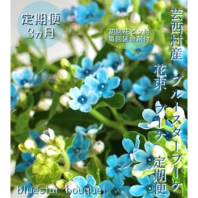 【毎月定期便】芸西村産生花ブルースター花束ブーケ　初回花瓶付毎回延命剤付【t178tmf】　全3回