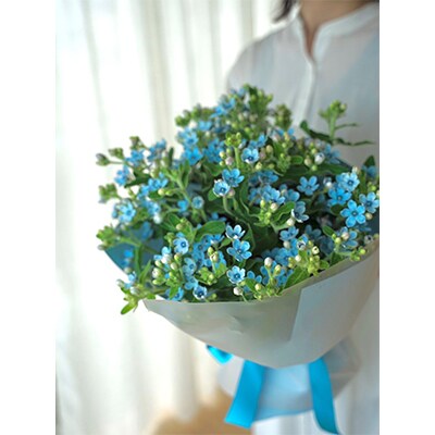 【毎月定期便】芸西村産生花ブルースター花束ブーケ　初回花瓶付毎回延命剤付【t178tmf】　全3回