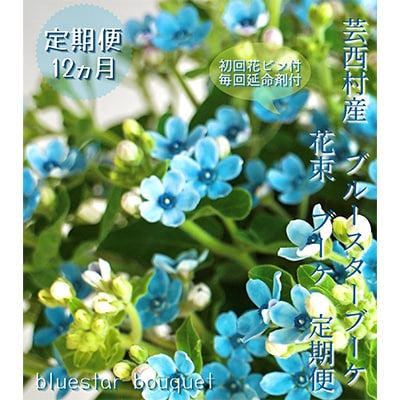 【毎月定期便】芸西村産生花ブルースター花束ブーケ　初回花瓶付毎回延命剤付【t180tmf】　全12回