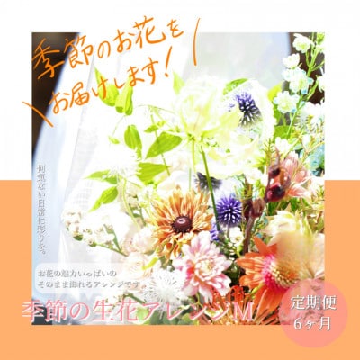【毎月定期便】芸西村産季節のアレンジ　アレンジメントM【t161tmf】全6回