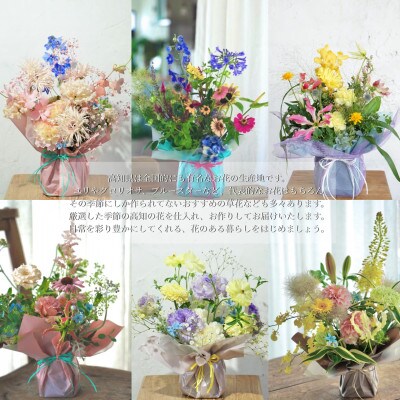 【毎月定期便】芸西村産季節の生花アレンジ　アレンジメントM【t162tmf】全12回