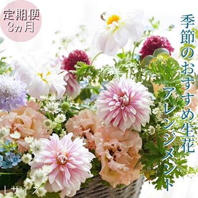 【毎月定期便】芸西村産季節の生花アレンジ　アレンジメント　カゴ付　L【t163tmf-SF】全3回