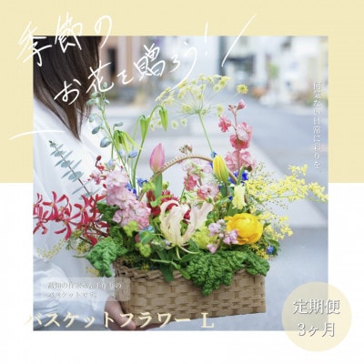 【毎月定期便】芸西村産季節の生花バスケットフラワーL　アレンジメント【t163tmf-SF】全3回