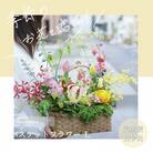 【毎月定期便】芸西村産季節の生花バスケットフラワーL　アレンジメント【t165tmf-SF】全12回