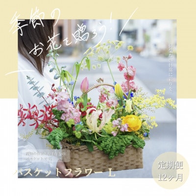 【毎月定期便】芸西村産季節の生花バスケットフラワーL　アレンジメント【t165tmf-SF】全12回