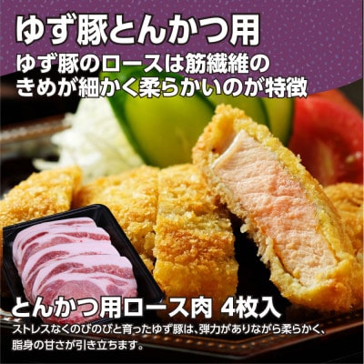 【高知のブランド豚/ゆず豚】脂身が甘いジューシーとんかつ4枚入り&ソーセージ2P(約1kg)