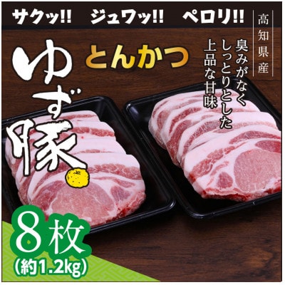 【高知のブランド豚/ゆず豚】脂身が甘いジューシーとんかつ8枚入り(約1.2kg)